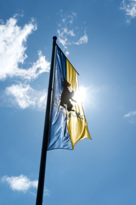 BIS_0539