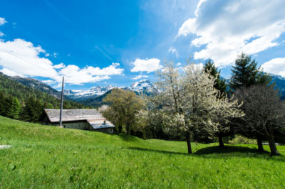 BIS_0826-2