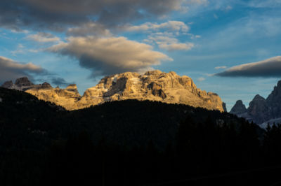 BIS_1318