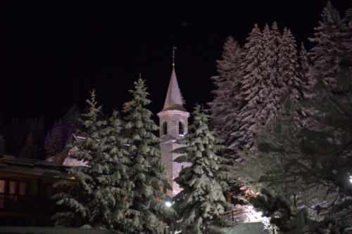 BIS_9768