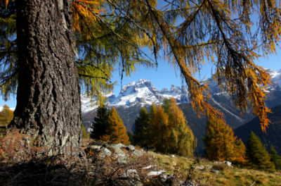 IMG_8365 (2)